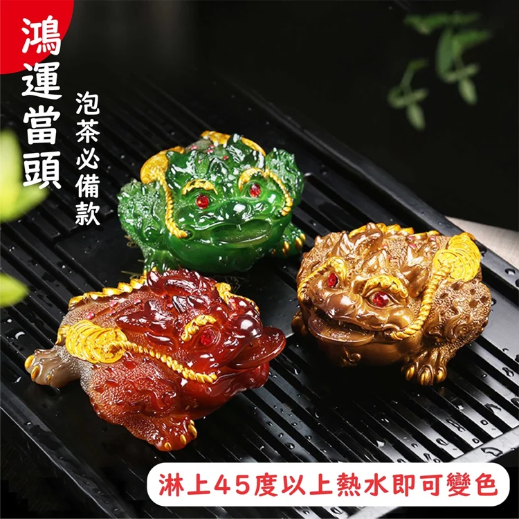 【財運之寶】變色蟾蜍三足招財金蟾茶寵