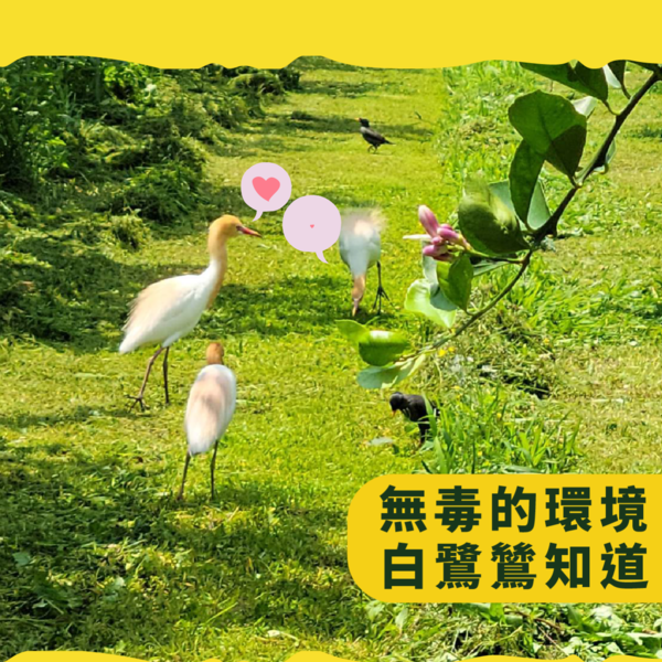 我們想傳遞的精神: 活力、溫暖、親切、生活中的創造力。 翻轉人們對檸檬使人怯步的印象。 連皮都可以好吃的檸檬 ! 豐富的營養都可以輕鬆吃下去 , 堅持純天然無添加、手工製作, 絕不加化學佐劑、添加物, 透過更多元的方式呈現元氣檸檬 , 推出多變化豐富的新品。 連皮都可以好吃的檸檬 ! 豐富的營養都可以輕鬆吃下去 !! 我們想傳遞的精神: 活力、溫暖、親切、生活中的創造力。 翻轉人們對檸檬使人怯步的印象。 連皮都可以好吃的檸檬 ! 豐富的營養都可以輕鬆吃下去 , 堅持純天然無添加、手工製作, 絕不加化學佐劑、添加物, 透過更多元的方式呈現元氣檸檬 , 推出多變化豐富的新品。 連皮都可以好吃的檸檬 ! 豐富的營養都可以輕鬆吃下去 !!