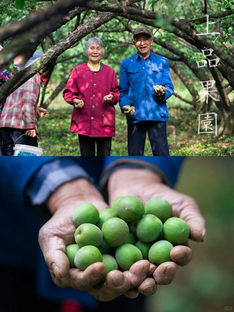 1704264512568906.jpg 1.jpg