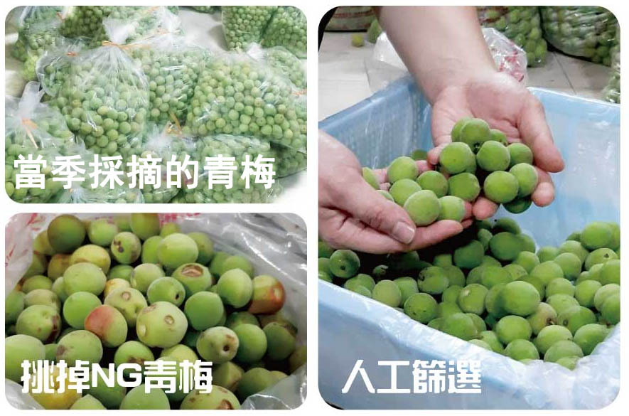 1704264613898537.jpg 6.jpg