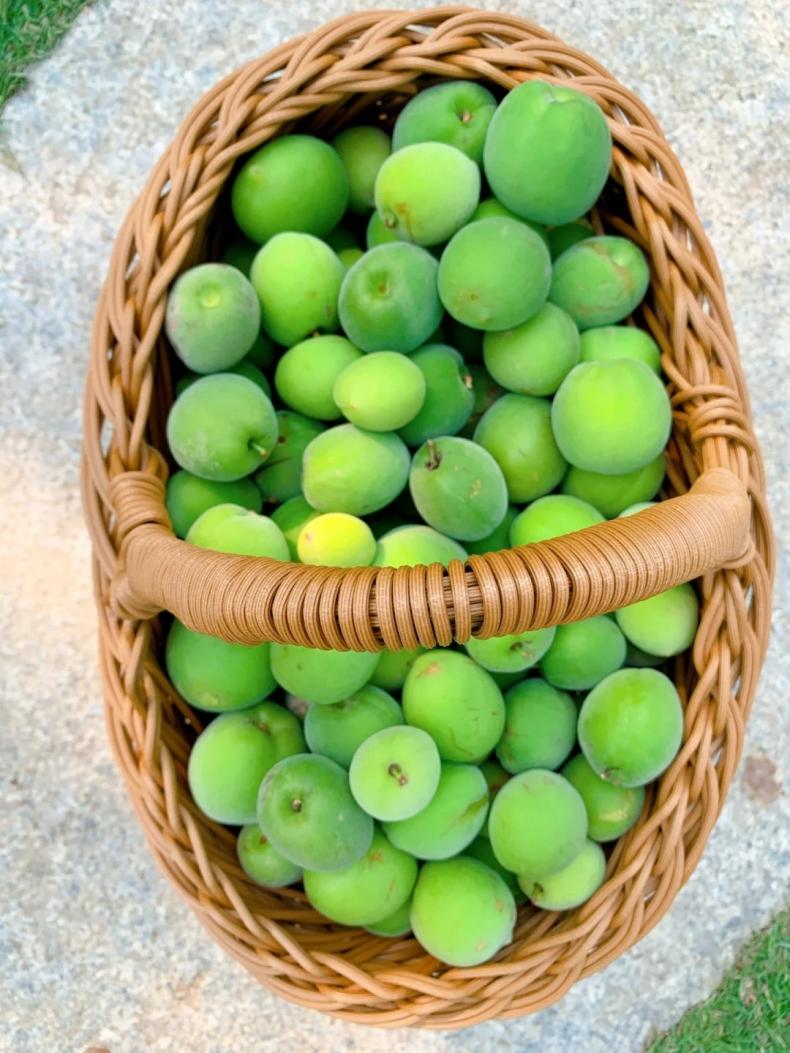 1704264631159601.jpg 7.jpg