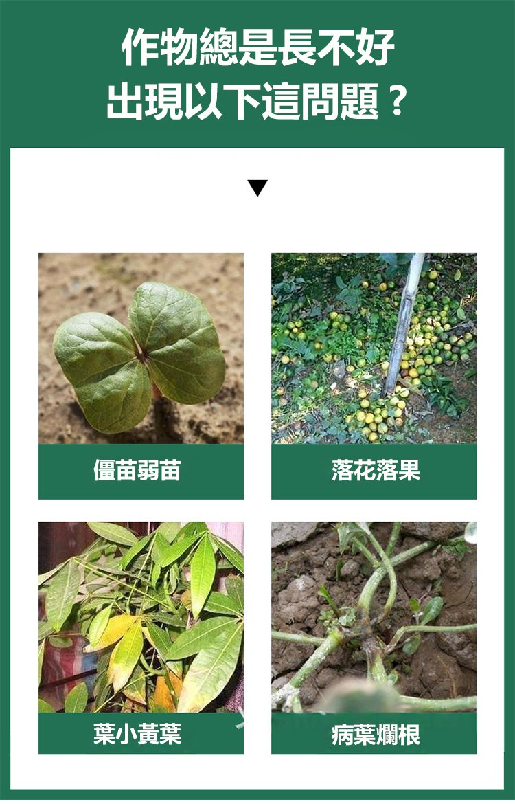 1704554067297638.png 432552b4edaccdd2f03134e870fc342.png