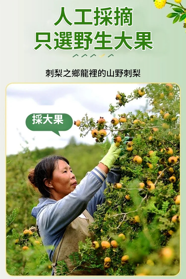 1710387872169329.png 79d7dcfef1b98f041a4a33bf1653b93.png