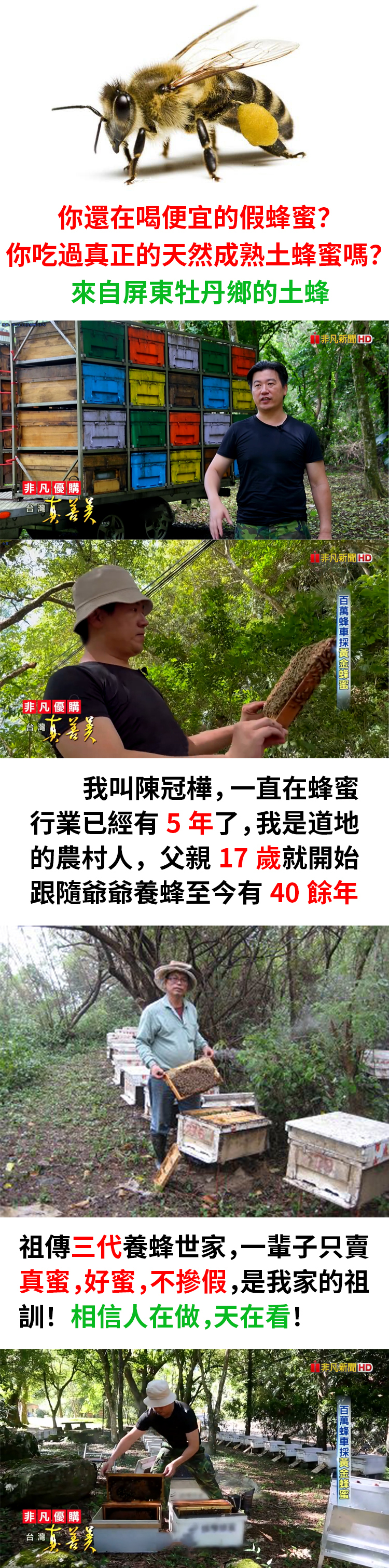 1718525022591604.png 560783a3af82689732a18971fa659c9.png