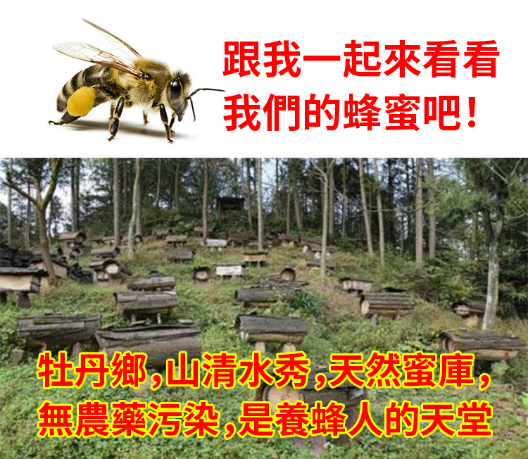 1718525029285522.png ab8ebdcbc50e56efa90b46046a7f957.png