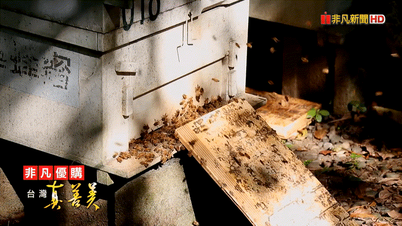 1718525065540363.gif 1.gif