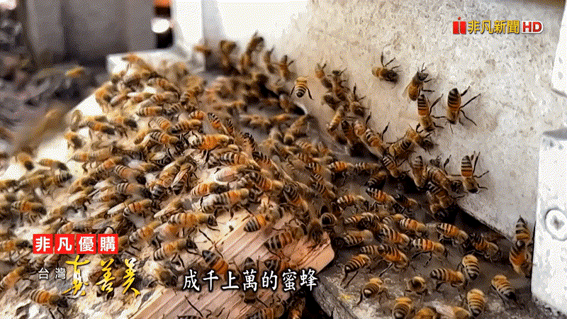 1718525143514438.gif 1.gif