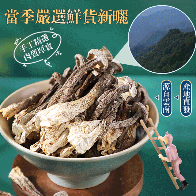 【煲湯炒菜下飯必備】山珍海味鹿茸菇 【煲湯炒菜下飯必備】山珍海味鹿茸菇